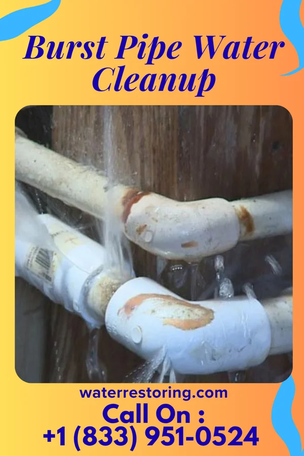 Burst Pipe Water Cleanup in Hallam, PA