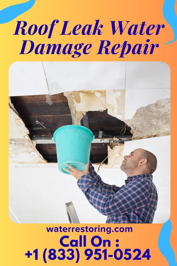 Roof Leak Water Damage Repair in Hallam, PA