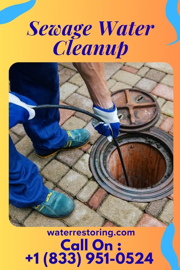 Sewage Water Cleanup in Hallam, PA