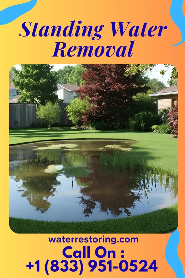 Standing Water Removal in Hallam, PA